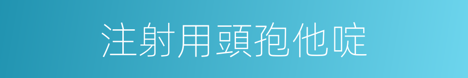 注射用頭孢他啶的同義詞
