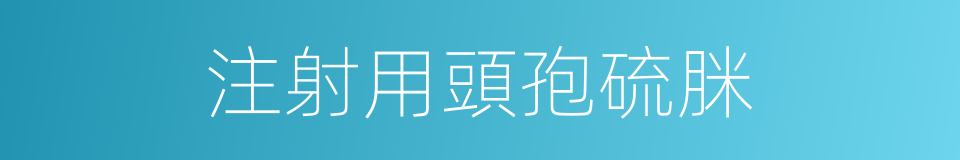 注射用頭孢硫脒的同義詞