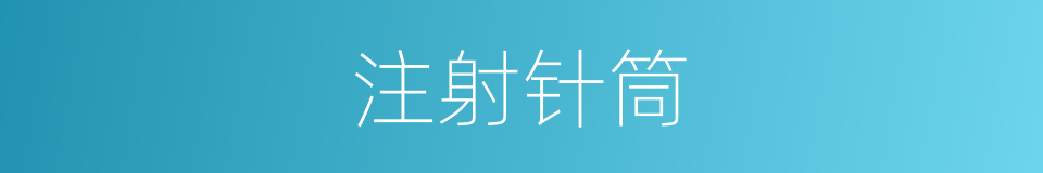 注射针筒的同义词