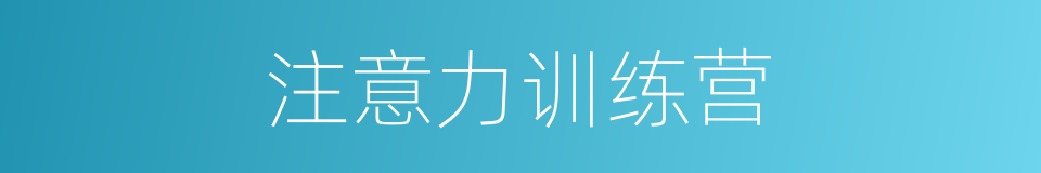 注意力训练营的同义词