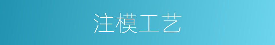 注模工艺的同义词