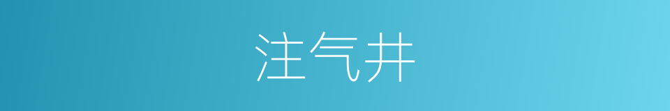 注气井的同义词