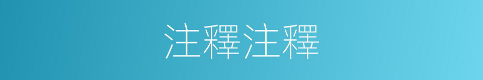 注釋注釋的意思