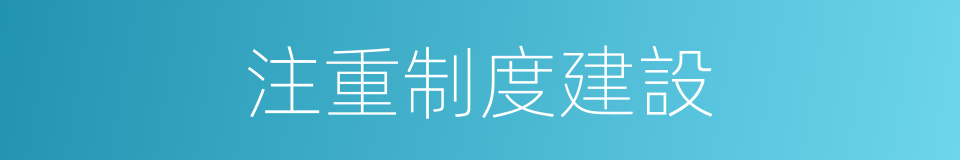 注重制度建設的同義詞