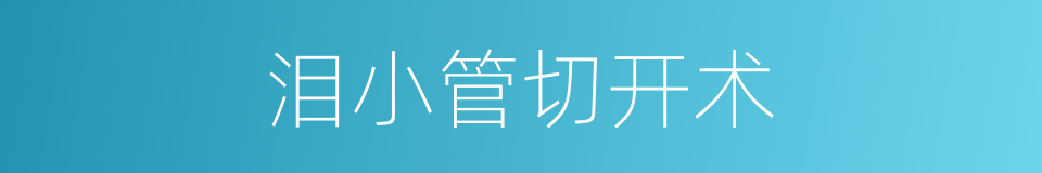 泪小管切开术的同义词
