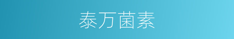泰万菌素的同义词