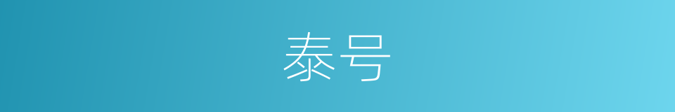 泰号的同义词