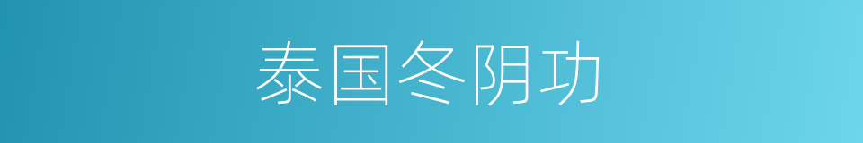 泰国冬阴功的同义词