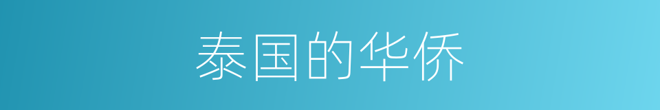 泰国的华侨的同义词