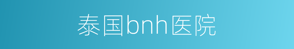 泰国bnh医院的同义词