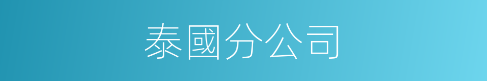 泰國分公司的同義詞