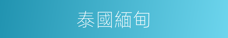 泰國緬甸的同義詞