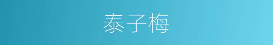 泰子梅的同义词