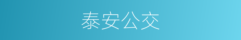 泰安公交的同义词