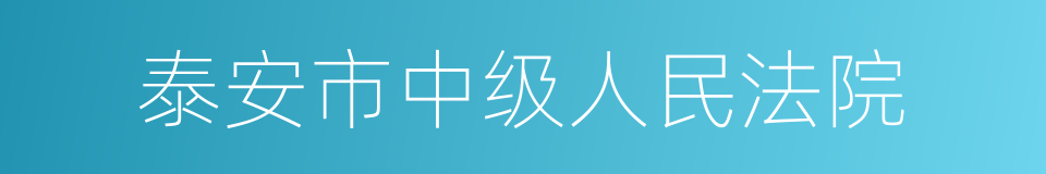 泰安市中级人民法院的同义词