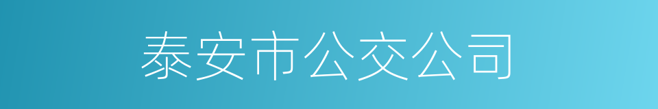 泰安市公交公司的同义词