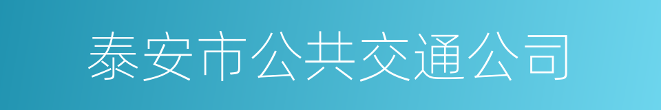 泰安市公共交通公司的同义词