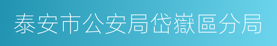 泰安市公安局岱嶽區分局的同義詞