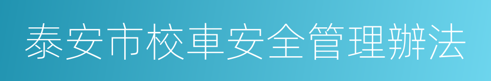 泰安市校車安全管理辦法的同義詞