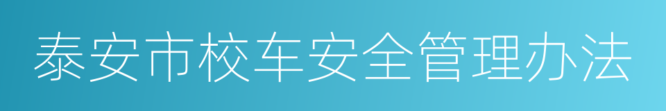 泰安市校车安全管理办法的同义词