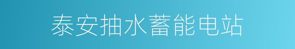 泰安抽水蓄能电站的同义词