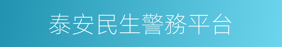 泰安民生警務平台的同義詞