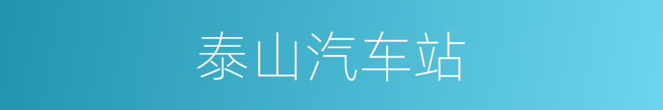 泰山汽车站的同义词