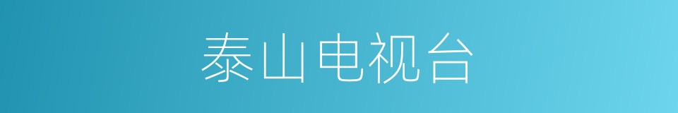 泰山电视台的同义词