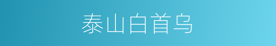 泰山白首乌的同义词