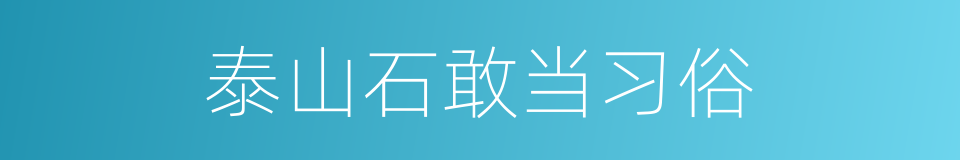 泰山石敢当习俗的同义词