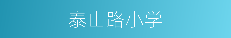 泰山路小学的同义词