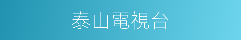 泰山電視台的同義詞