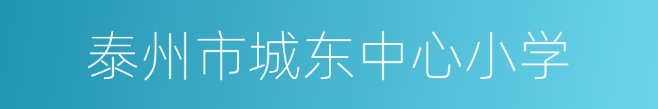 泰州市城东中心小学的同义词