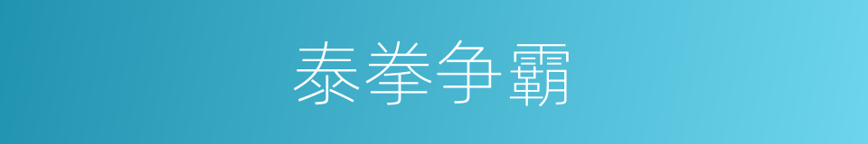 泰拳争霸的同义词