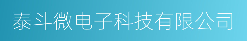 泰斗微电子科技有限公司的同义词