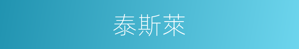 泰斯萊的同義詞