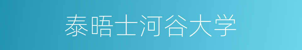 泰晤士河谷大学的同义词