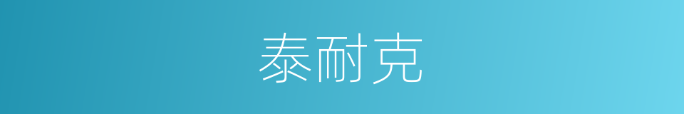 泰耐克的同义词