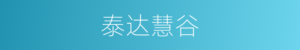 泰达慧谷的同义词