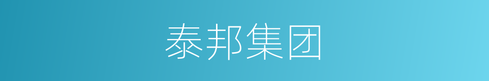 泰邦集团的同义词