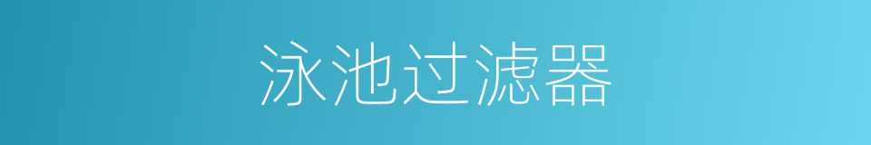 泳池过滤器的同义词