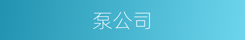泵公司的同义词