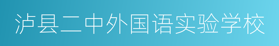 泸县二中外国语实验学校的同义词