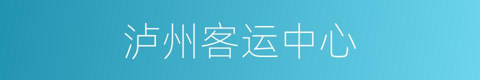 泸州客运中心的同义词