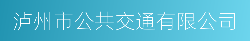 泸州市公共交通有限公司的同义词