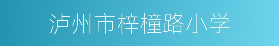 泸州市梓橦路小学的同义词