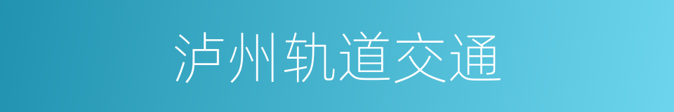 泸州轨道交通的同义词