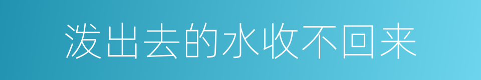 泼出去的水收不回来的同义词