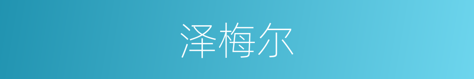 泽梅尔的同义词