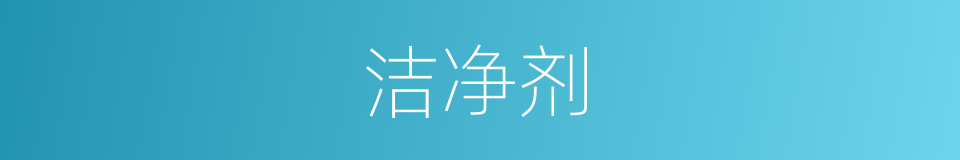 洁净剂的同义词